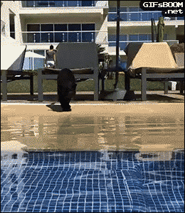 tumblr_nrbuvboXTp1s02vreo1_400.gif