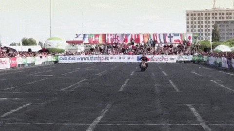 7.gif