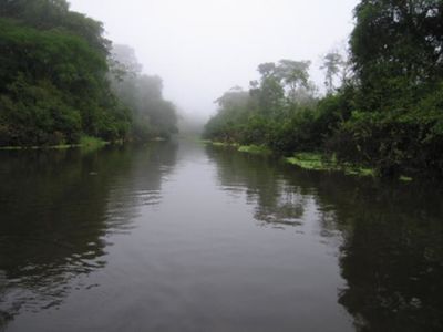 400px-AMAZONAS.jpg