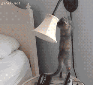 tumblr_npmwstD5v81s2yegdo1_400.gif
