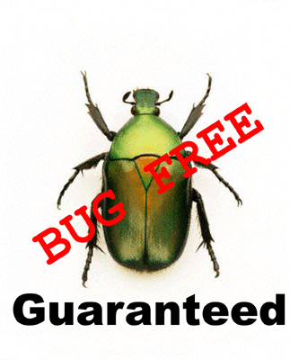 bug_free_01.gif