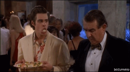 giphy.gif
