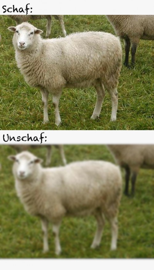 thumbs_picdump489_033.jpg