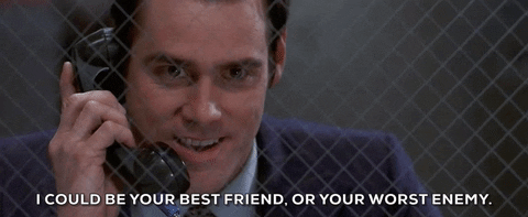 giphy.gif