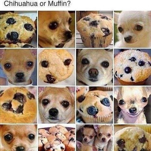 thumbs_picdump493_08.jpg
