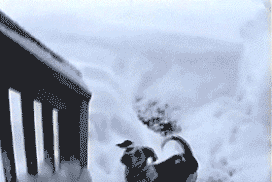 sF18I.gif