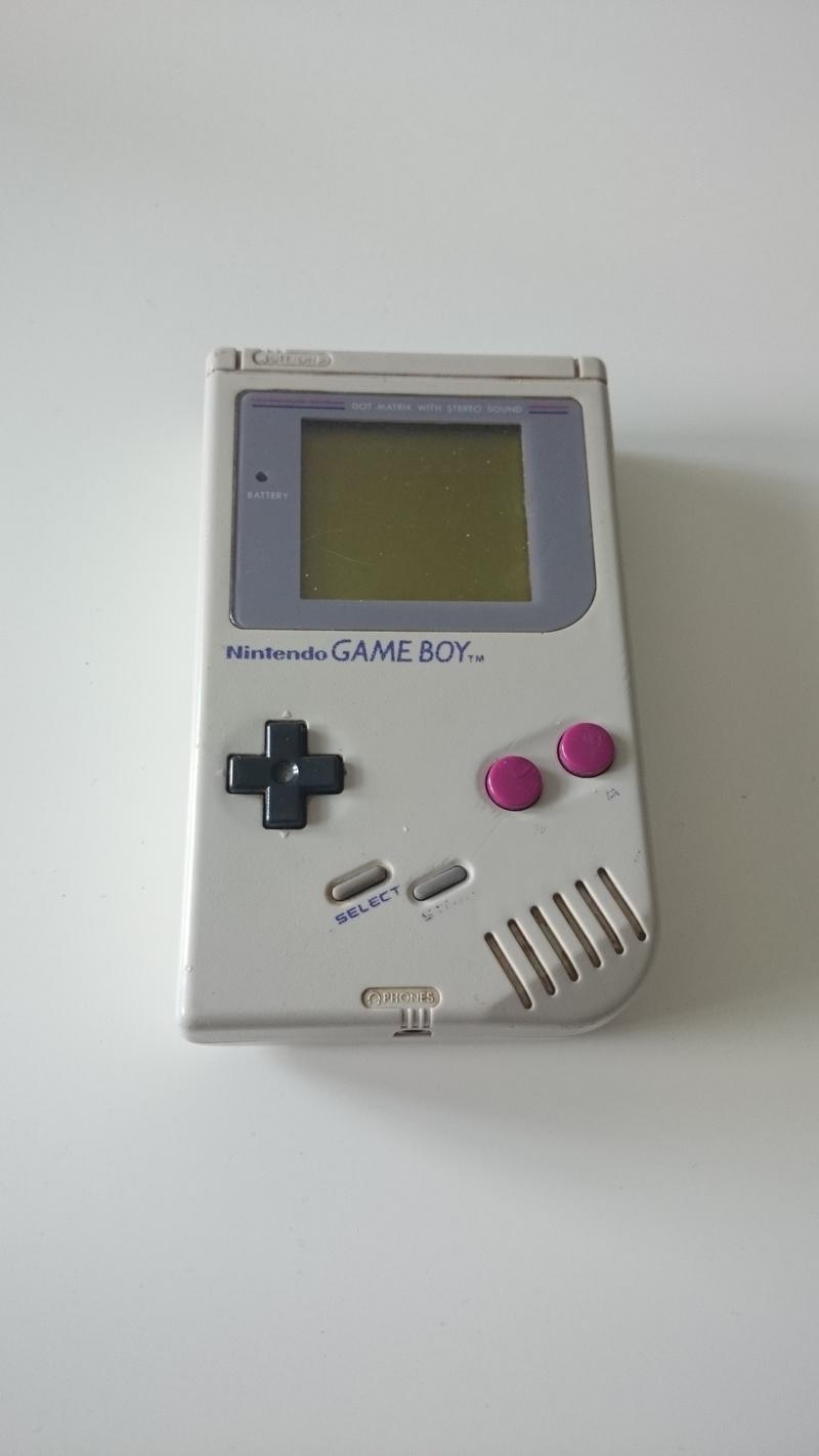 23435646sh.jpg