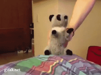 88.gif