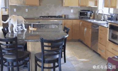 tumblr_oktgxnZYk11vnq1cro1_400.gif