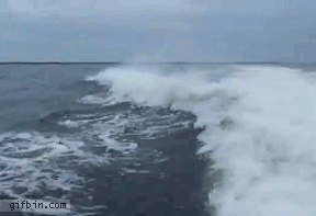 adb93d34404028935883118c6e2628f6.gif