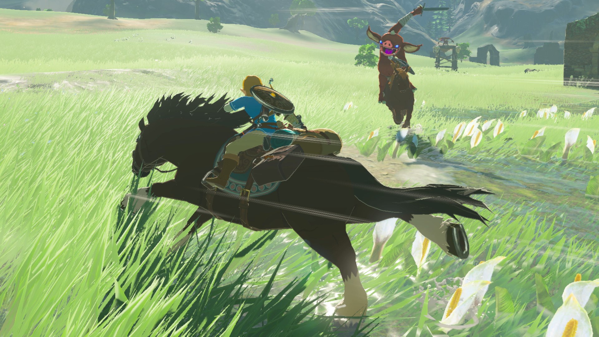 the_legend_of_zelda_breath_of_the_wild_switch-14.jpg