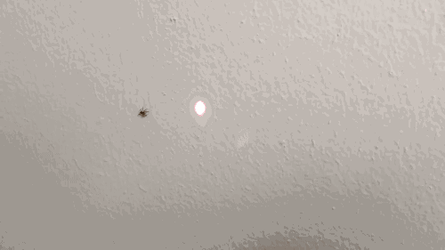 tumblr_odkts6aDwC1uluepno1_500.gif