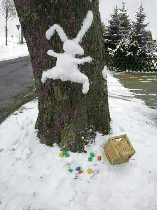 picdump409_39.jpg