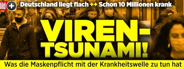 Virentsunami-Bild.jpg