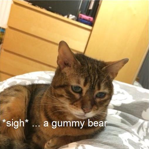 ii9Xudw.jpg