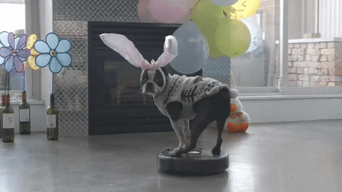 giphy.gif
