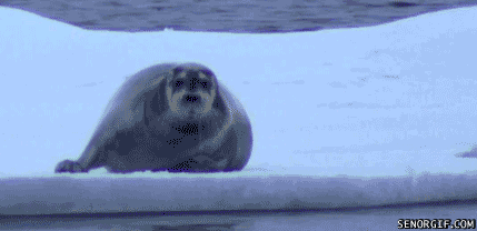 9c1_zps9af75ea3.gif