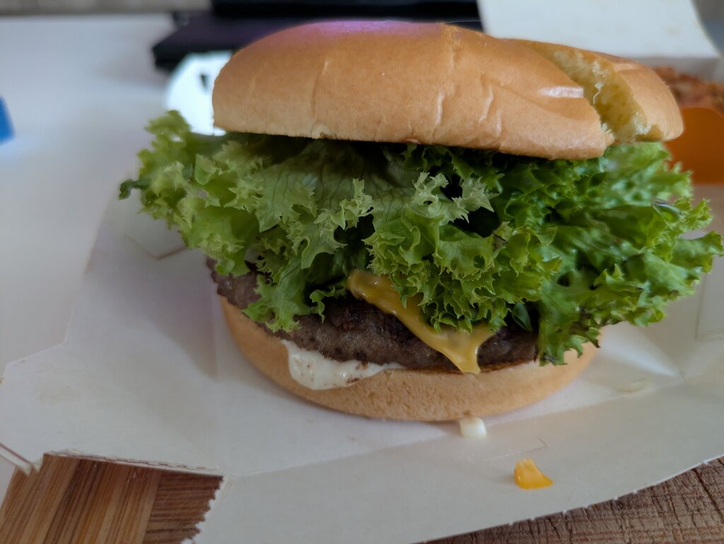 49767710dv.jpg