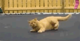 JLOJTLY.gif