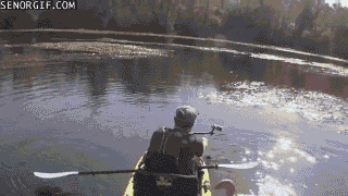 abd-280.gif