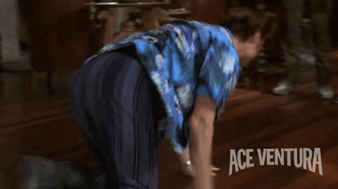 giphy.gif
