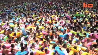 INSfiT.gif
