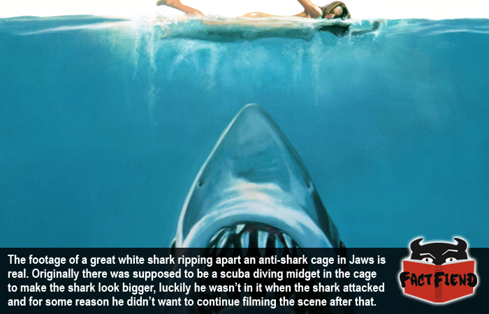 jaws-ss.jpg