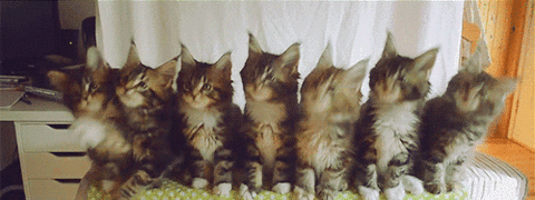 hornoxe.com_gifdump125_35.gif