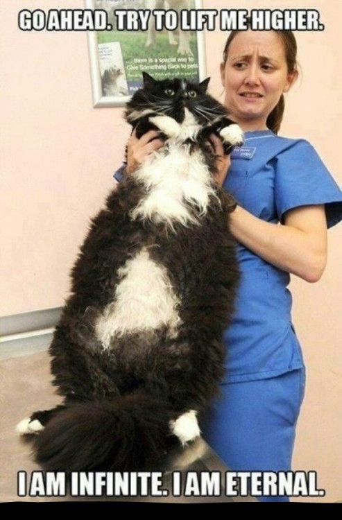tumblr_mzjo1ejxtf1s5rsdao1_500.jpg