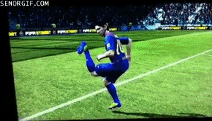 FIFA-LOL.gif