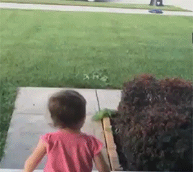animated-gifs-112-016.gif
