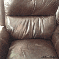 200w.gif