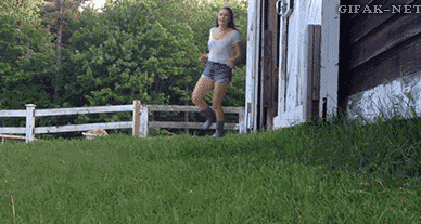 giphy.gif