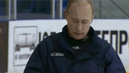 0_be39e_dc3c9b77_L_medium_medium.gif