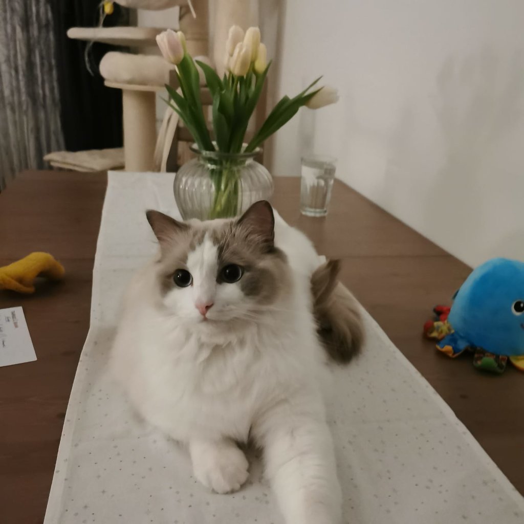 40601318pi.jpg