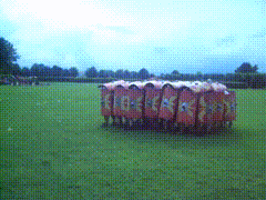 tumblr_nwmdohvEVo1tgrkdyo3_250.gif