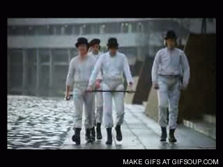 giphy.gif