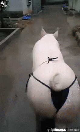 a9742b8ce588c738428ba3a4ec87d4d0.gif