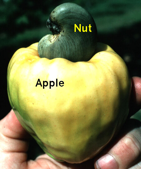 RqUSh.jpg