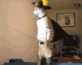 qNUF2i7.gif