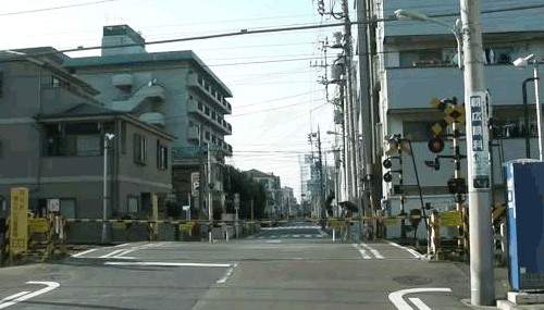 tumblr_lqx2vmozrE1qzs6oc.gif