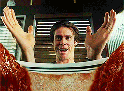 giphy.gif