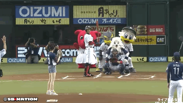 rina_pitch.gif