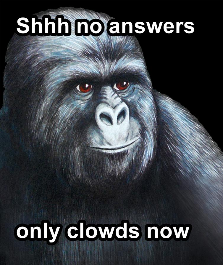 5B7Pq1T.jpg