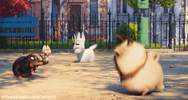 200.gif