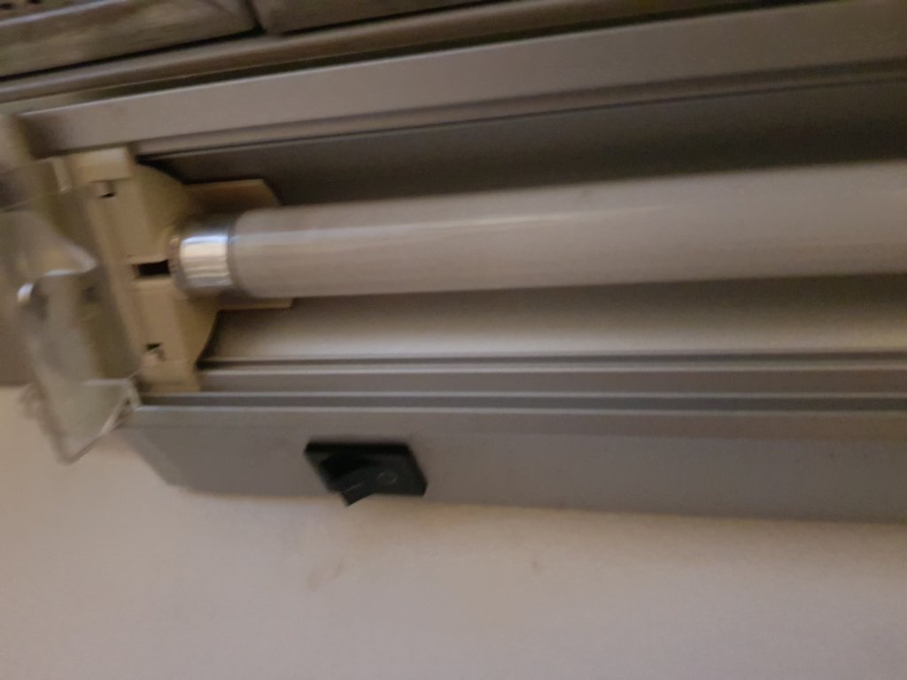 40529829ay.jpg