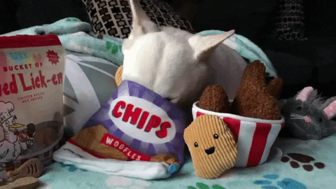 giphy.gif