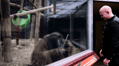 tumblr_of3nvdIxz21s02vreo3_400.gif