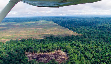 rr3-2012-biodiesel-peru-palmoel.jpg