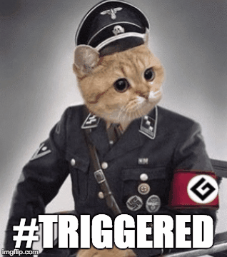 1qzz1a.gif